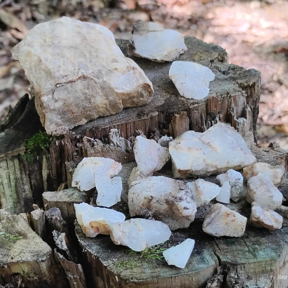 Freshly Harvested Quartz Collection - Picture 1 of 5